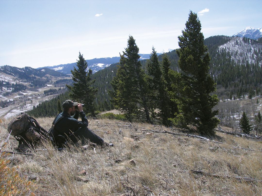 There are times when predator hunters need to apply the same tactics they use for spot-and-stalk pronghorn or mule deer hunting. Get up high and glass a lot of open terrain.
